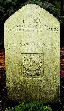 Boleslaw Aniol - Headstone 1
