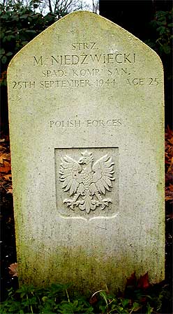 Michal Niedzwiecki - Headstone 1